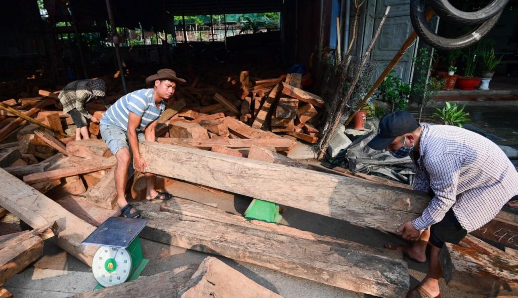 Vietnamese workers hauling heavy wooden planks for YouTube